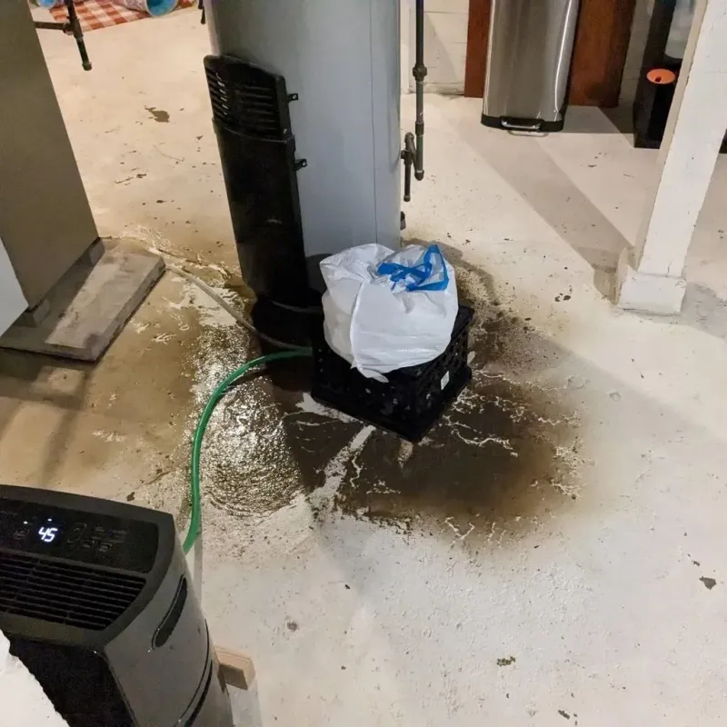 Sewage Backup Cleanup Service in Pretty Bayou, FL
